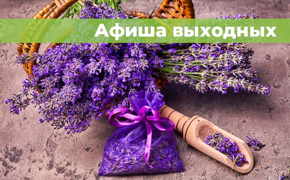Фестиваль лаванды, очистка пляжа и гонка на сапах