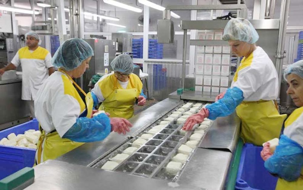 Кипрские сыроделы против европейских стандартов халлуми