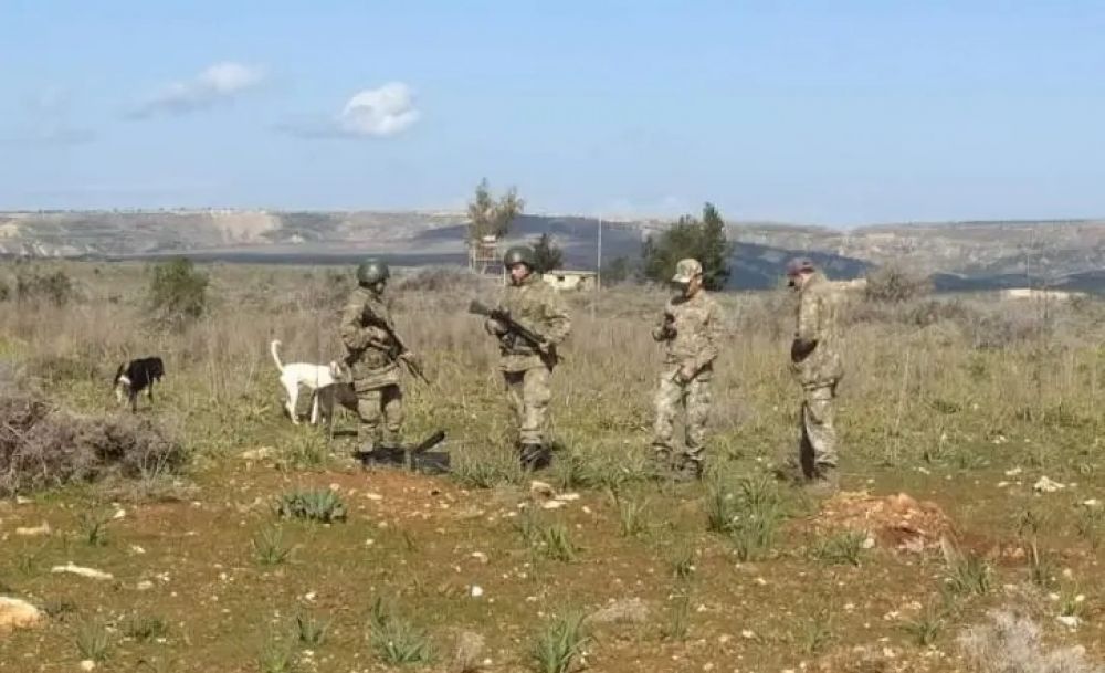 Турецкие военные против фермера: инцидент в буферной зоне