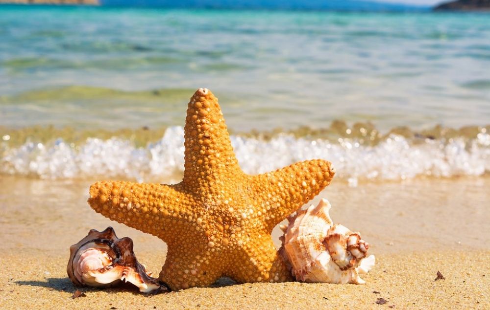 Красота из пены морской
