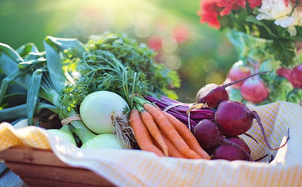 Органические продукты на Кипре на 100% дороже обычных