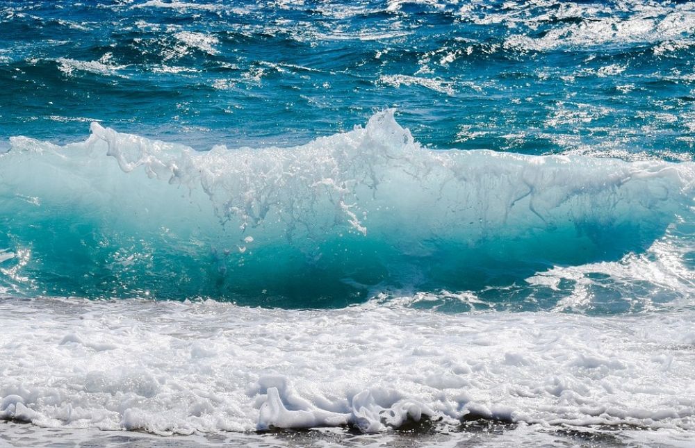 Энергия из волн и топливо из водорослей