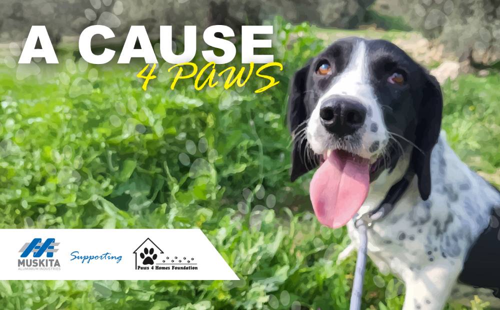 Muskita поддерживает фонд Paws for Homes